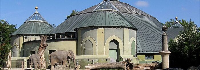 Installateur München Sendling: Tierpark Hellabrunn Elefantengehege