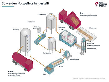 Herstellung von Holzpellets: Grafik