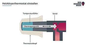 Thermostat der Heizung defekt: Aufbau eines Heizkörperthermostats Grafik