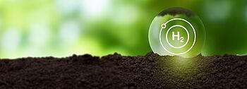 H2-ready-Heizsysteme – für die Gasversorgung der Zukunft H2-ready: H2-Kugel liegt auf einem Erdboden, im Hintergrund ist ein Wald zu sehen.