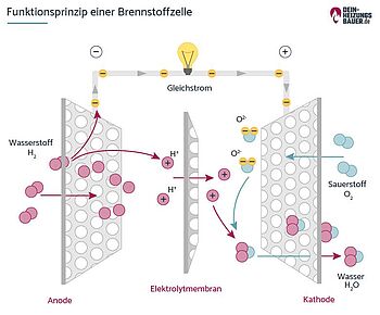 Funktionsprinzip Brennstoffzelle Funktionsprinzip einer Brennstoffzelle Grafik