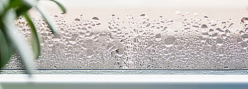 Kondenswasser Fenster: Tropfen am Fenster