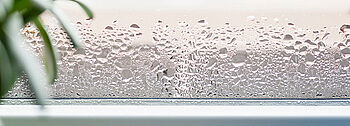 Kondenswasser Fenster Kondenswasser Fenster: Tropfen am Fenster