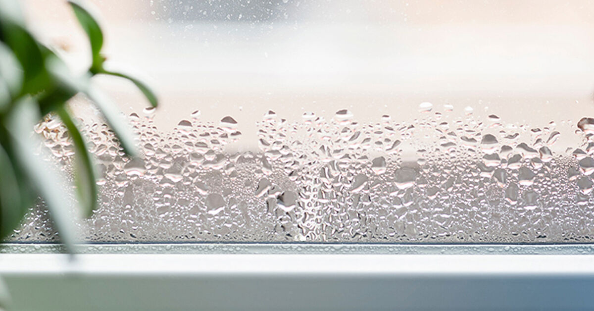 Nasse Fenster im Winter: Kondenswasser führt zu Schimmel
