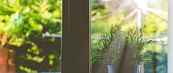 Umweltfreundlich heizen Umweltfreundlich heizen: Fenster Pflanzen