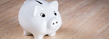 BAFA Fördermittel für die Heizung BAFA Fördermittel für die Heizung: Sparschwein