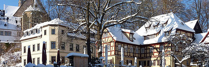 Heizungsbauer Klempner Chemnitz Schloss