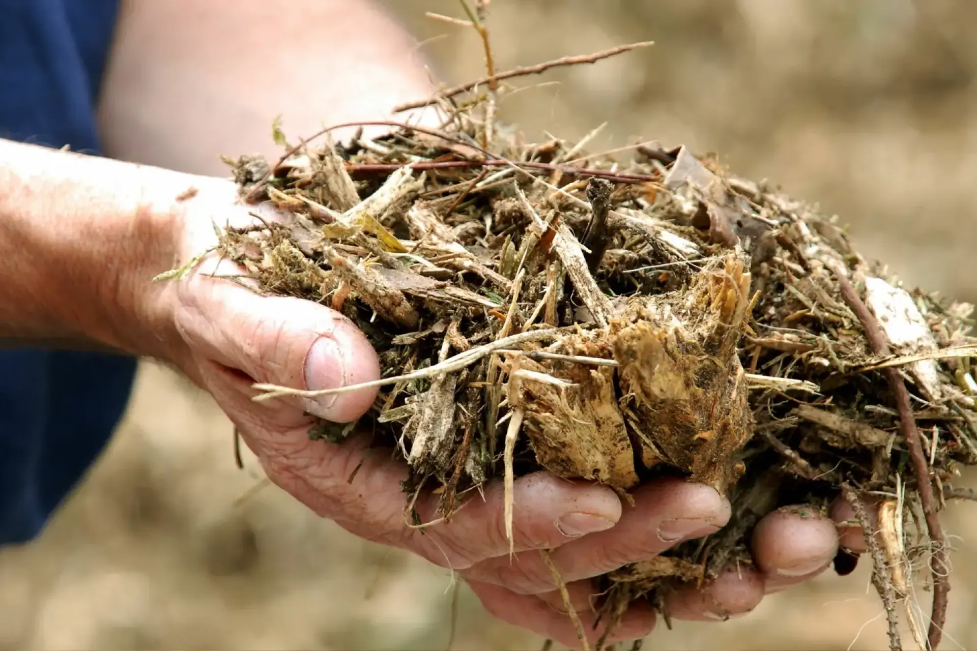 Biomasseheizung: Person hält Biomasse in den Händen