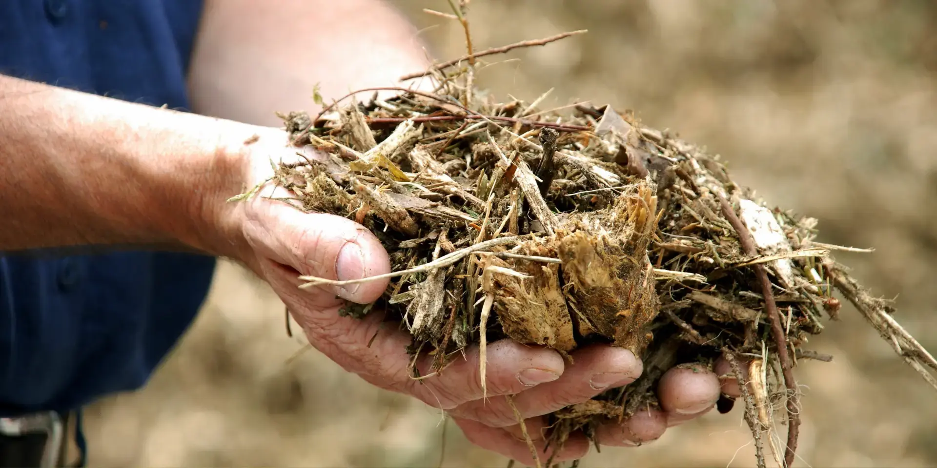 Biomasseheizung: Person hält Biomasse in den Händen