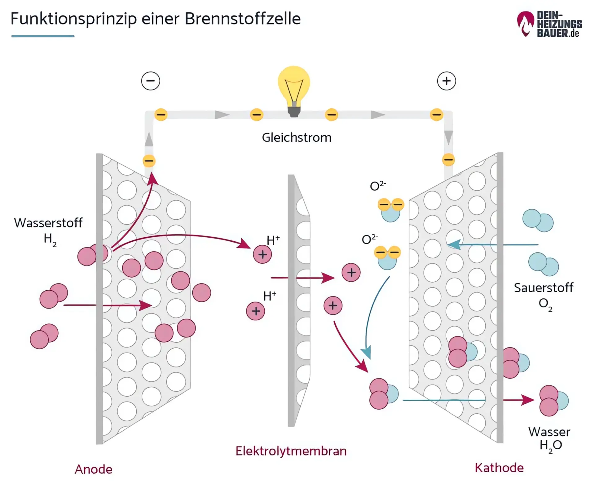 Funktionsprinzip einer Brennstoffzelle Grafik