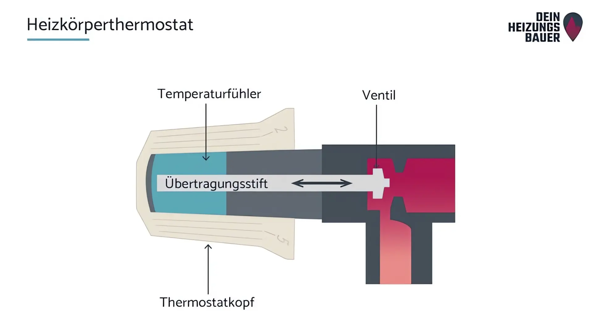 Heizkörperthermostat wechseln: Aufbau Heizkörperthermostat