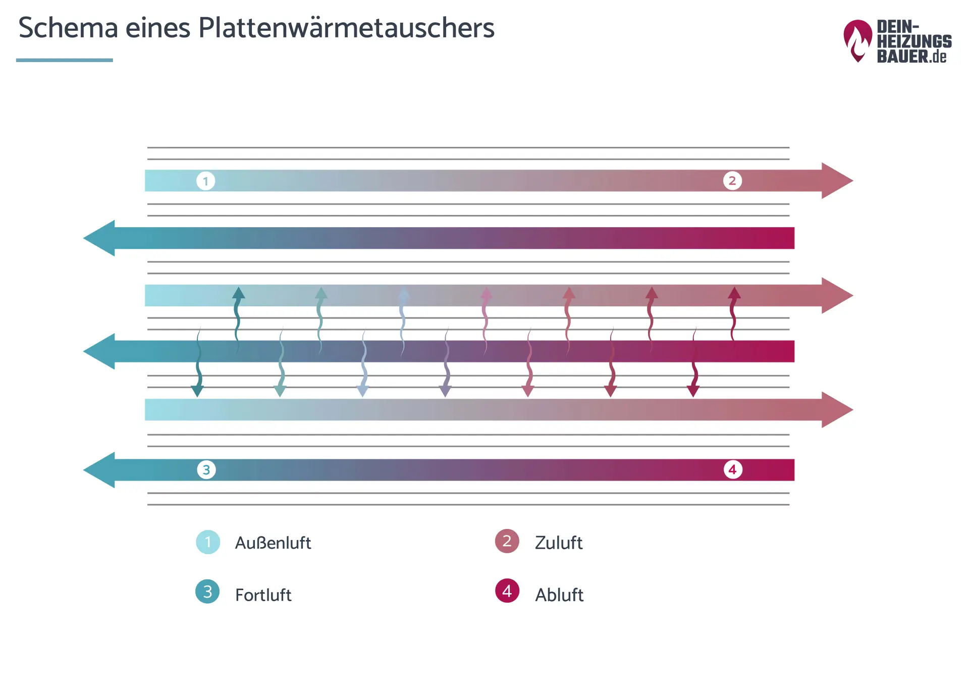 Schema eines Plattenwärmetauschers Grafik