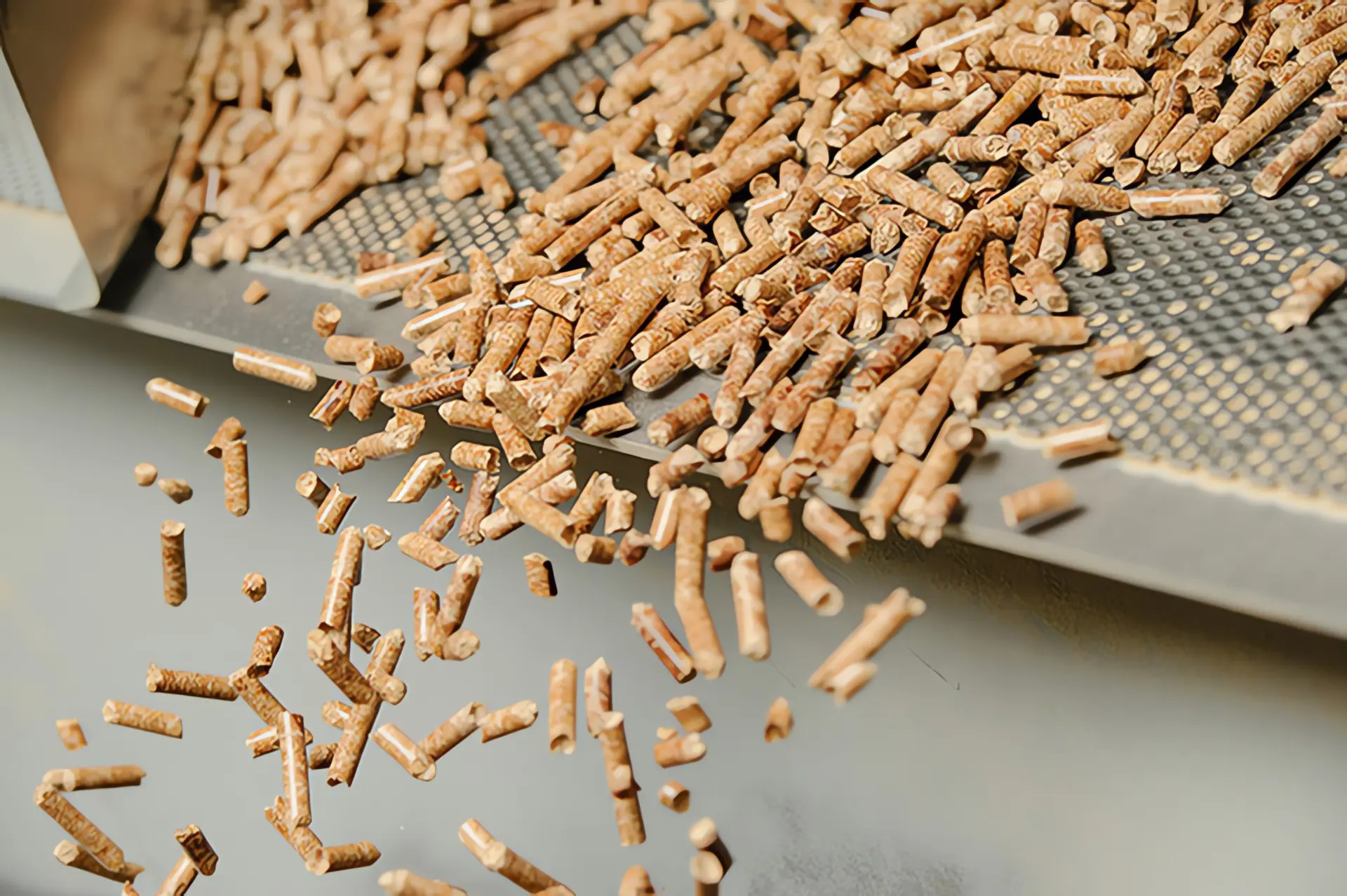 Pellets Herstellung: Holzpellets aus Produktionsband