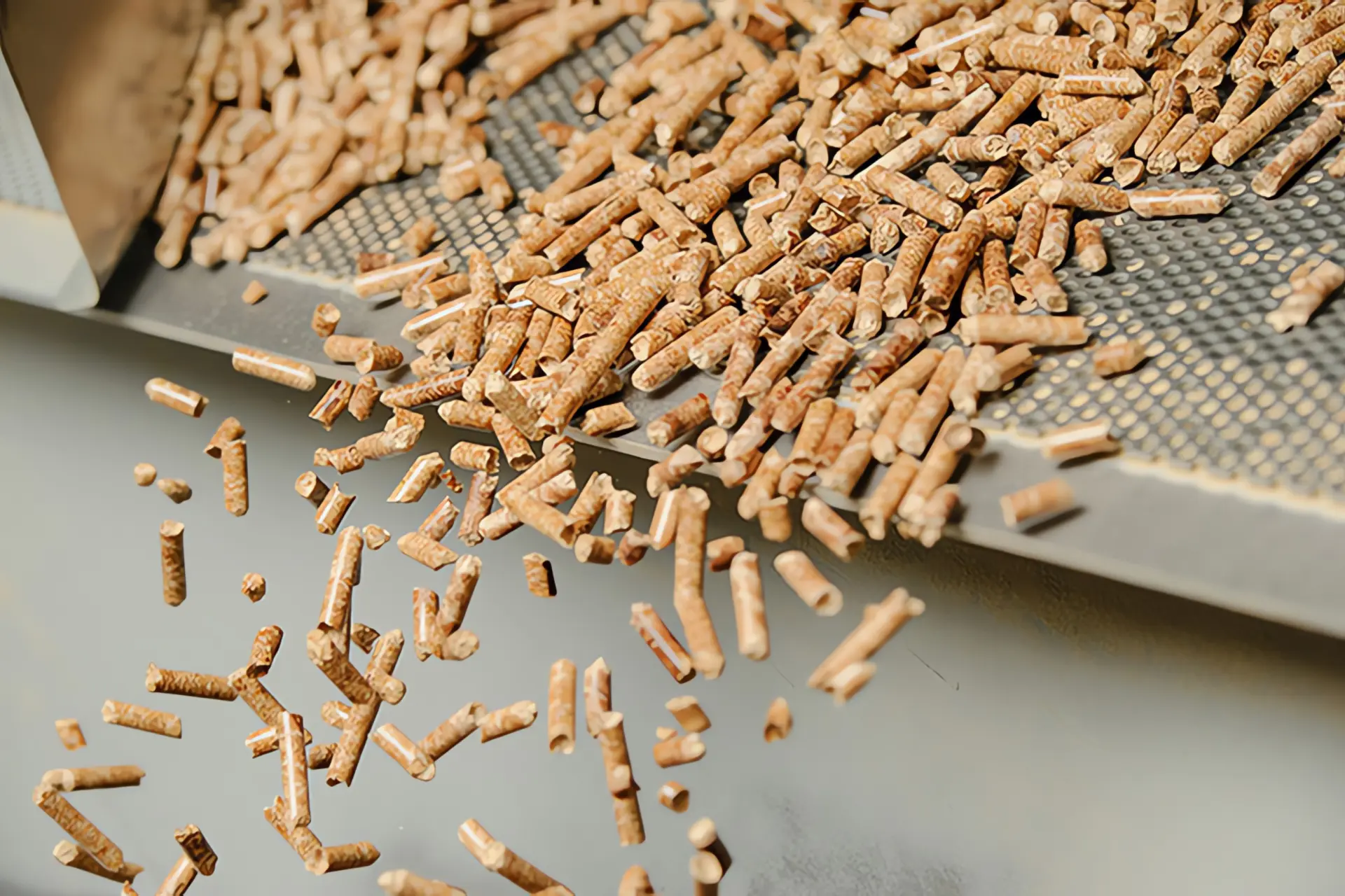 Pellets Herstellung: Holzpellets aus Produktionsband