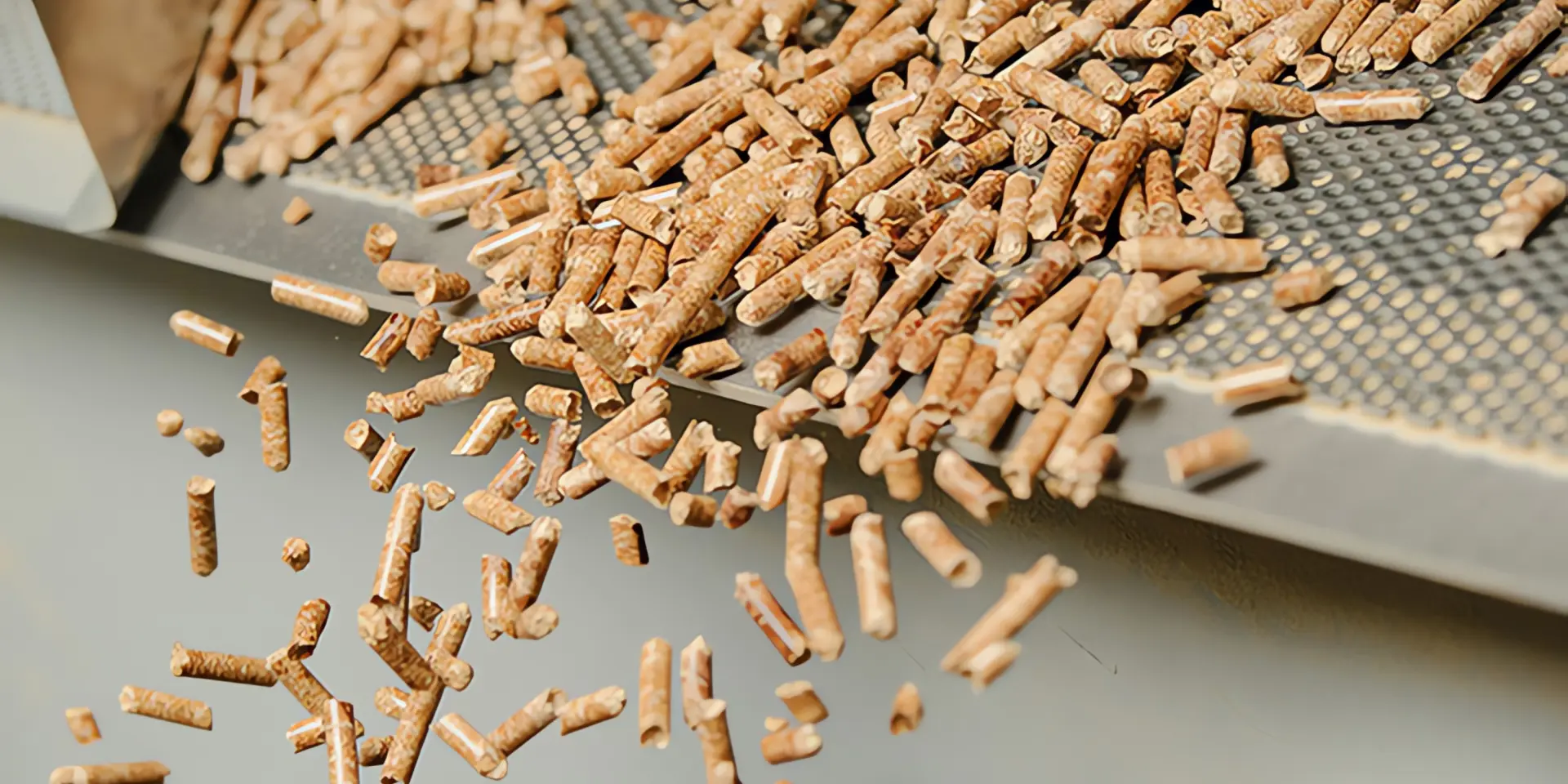 Pellets Herstellung: Holzpellets aus Produktionsband