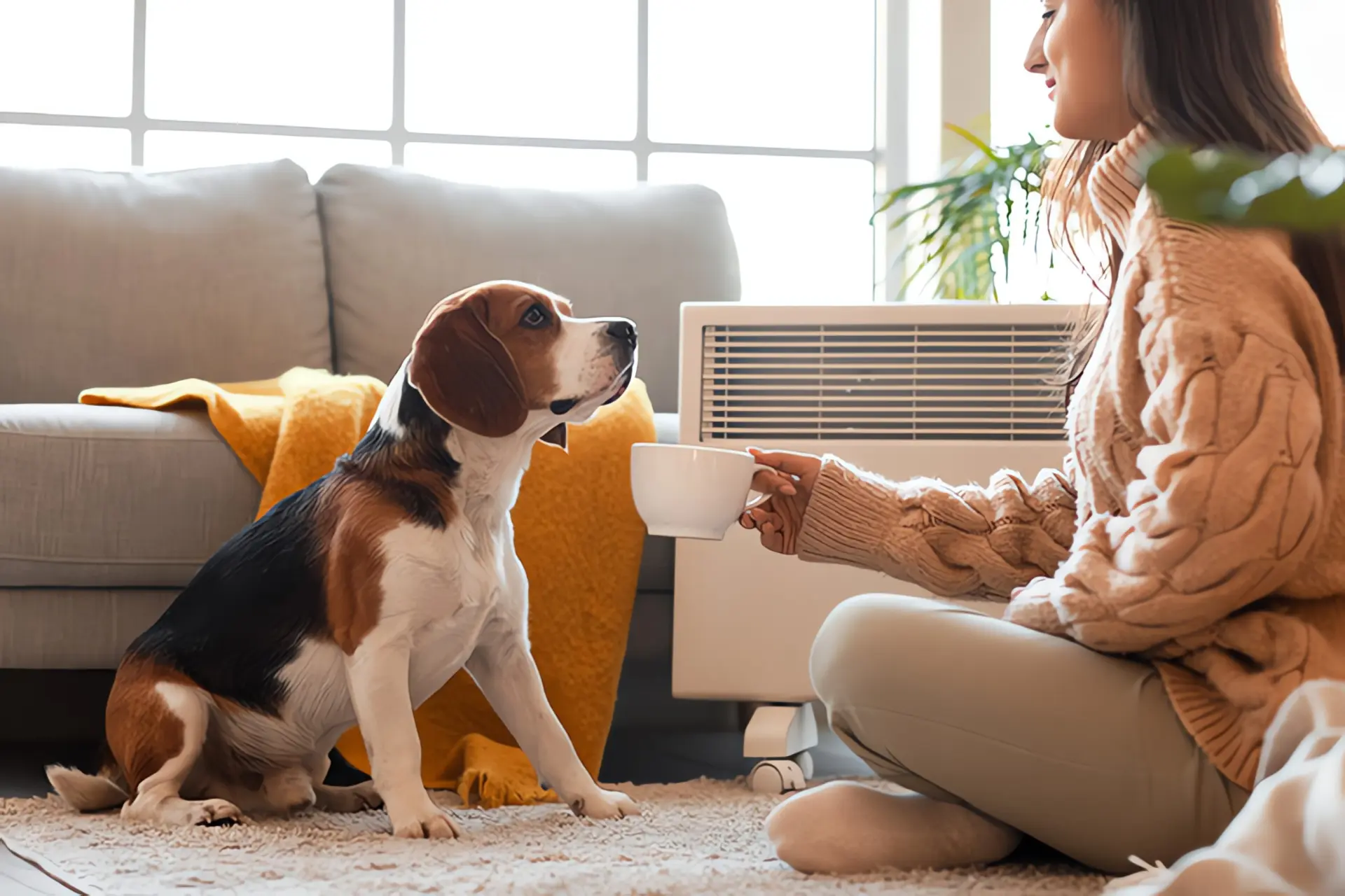 Radiator: Frau sitzt mit Hund vor mobiler Radiatorheizung