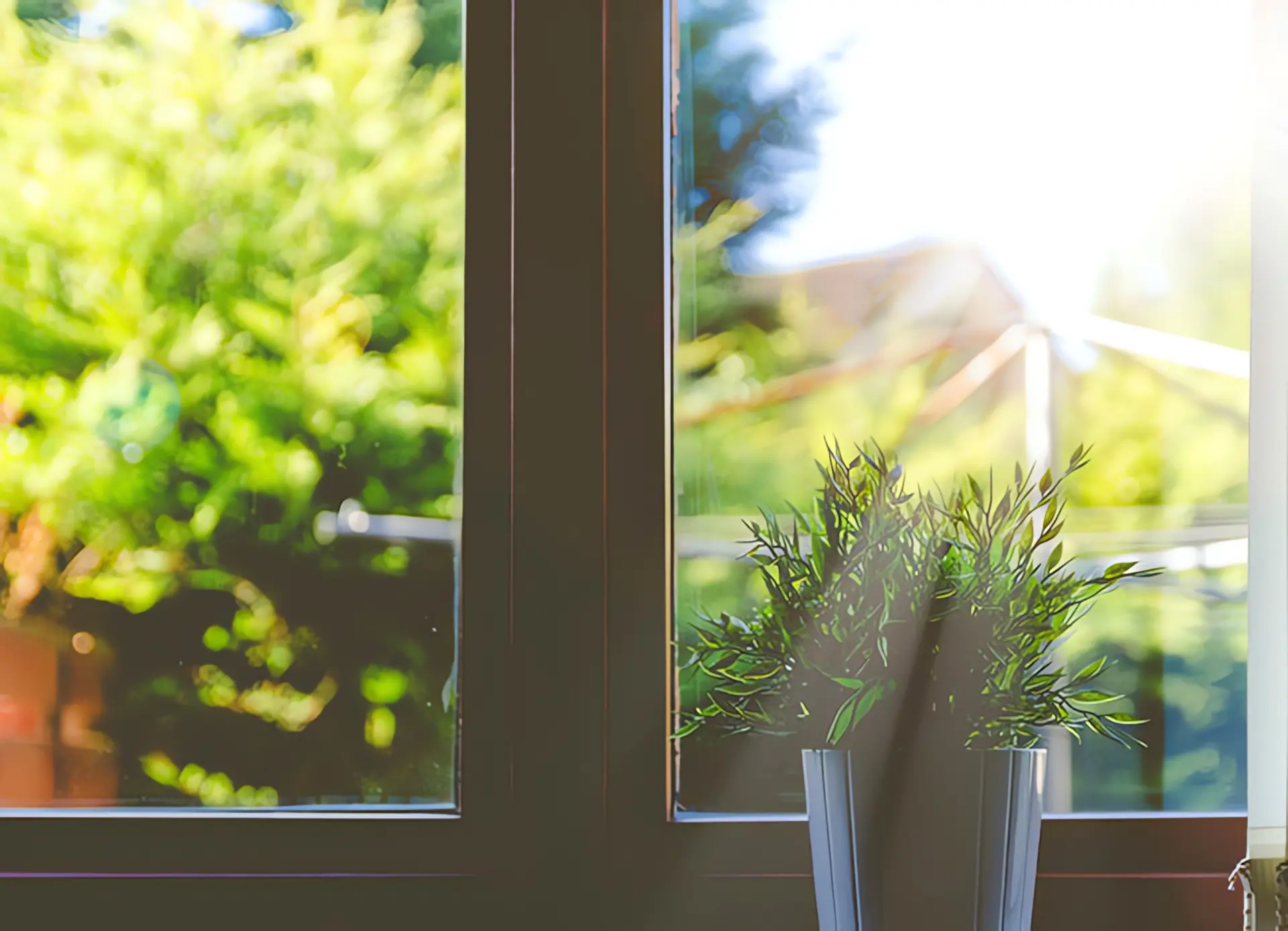 Umwetlfreundlich heizen: Topfpflanze vor Fenster