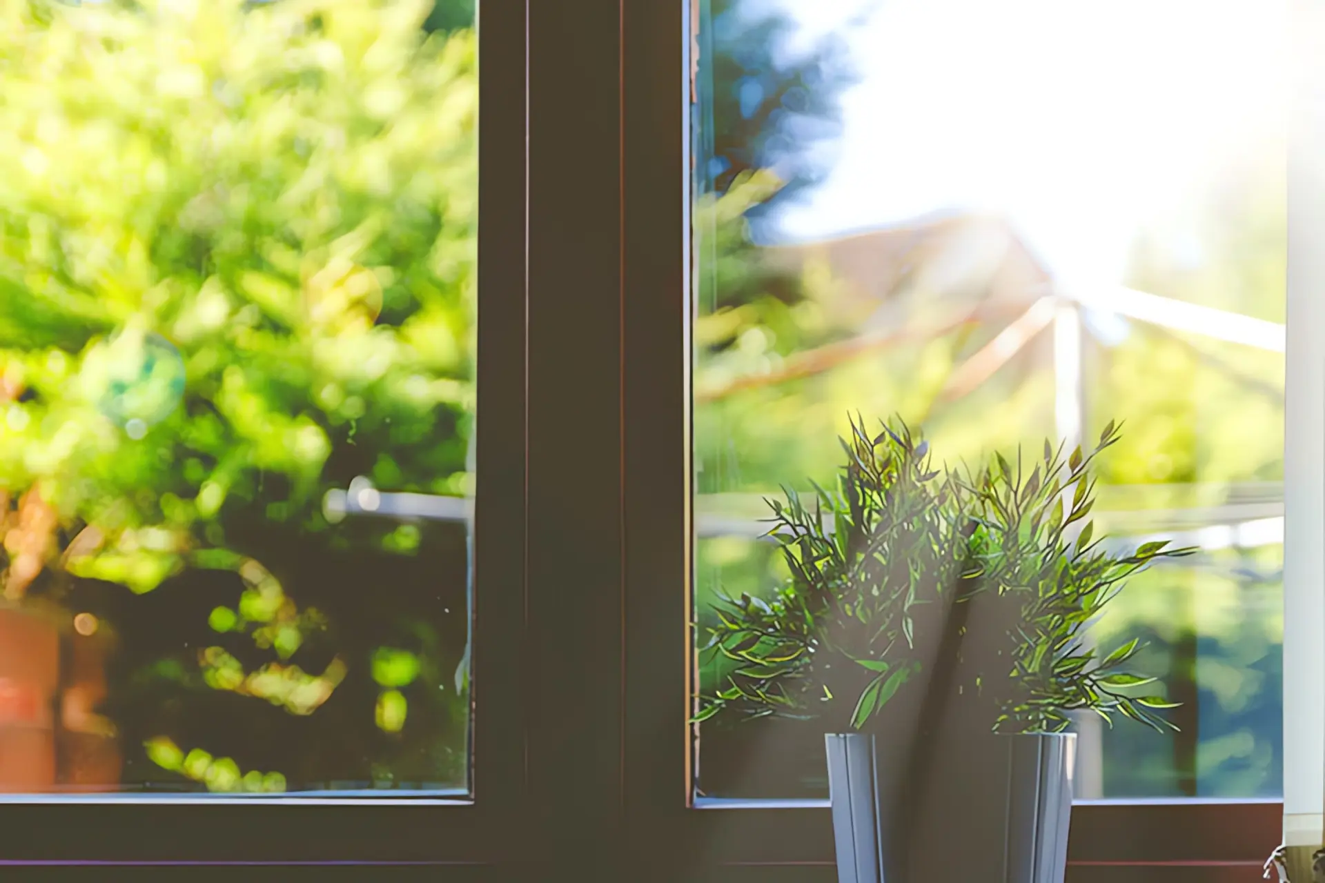 Umwetlfreundlich heizen: Topfpflanze vor Fenster