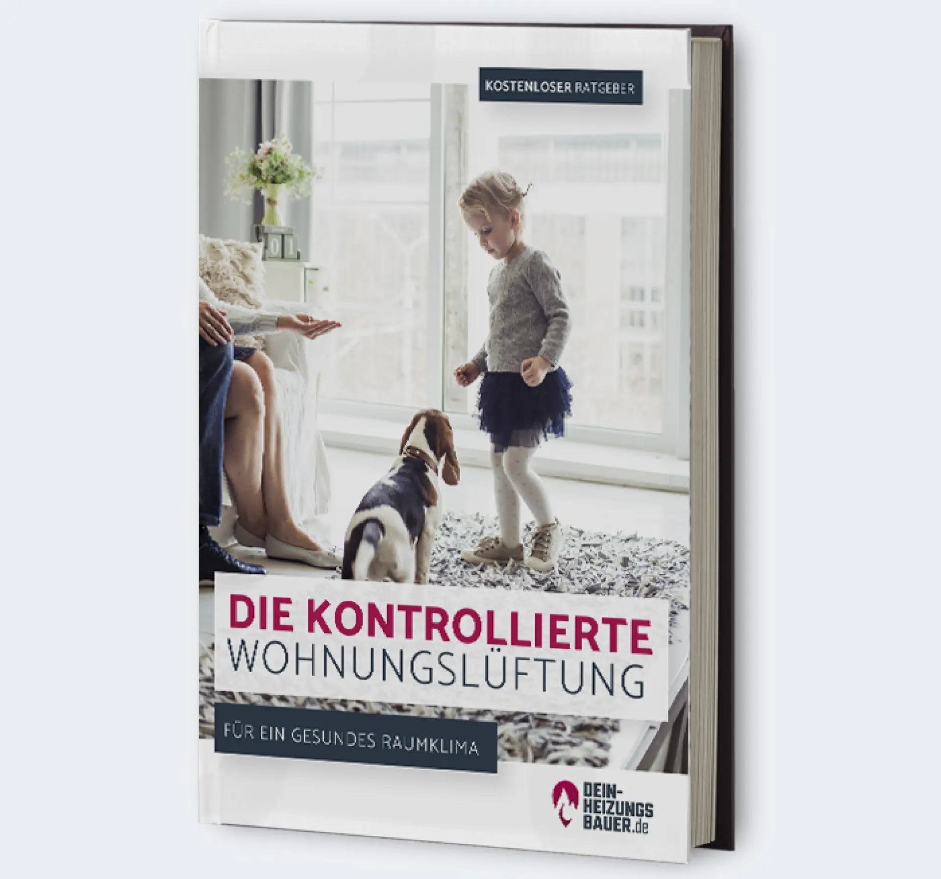 E-Book: Kontrollierte Wohnungslüftung für ein gesundes Raumklima