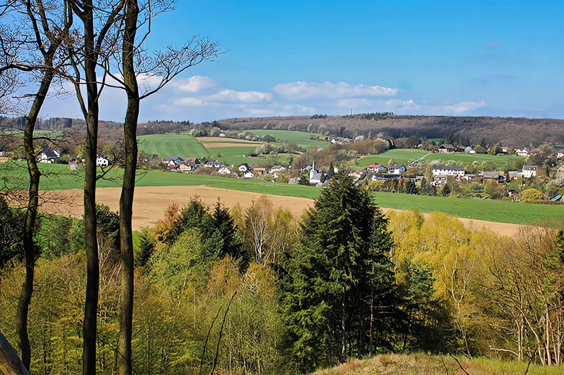 Heizungsbauer Neukirchen: Stadt Natur Bäume